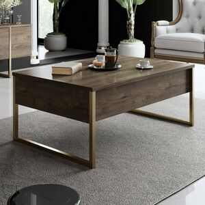 Fairmont Park Tahana Frame Coffee Table Brown/Gold 40cm H X 90cm W X 60cm D Fairmont Park Tahana Frame Coffee Table Brown/Gold 40cm H X 90cm W X 60cm D