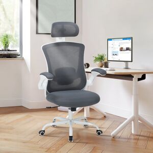 Inbox Zero Fully Adjustable Executive Swivel Ergonomic Office Chair with Adjustable Arms Grey 132.2cm H X 66cm W X 63cm D Inbox Zero Fully Adjustable Executive Swivel Ergonomic Office Chair with Adjustable Arms Grey 132.2cm H X 66cm W X 63cm D