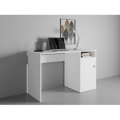 17 Stories Raymen Desk with drawer and door: 120cm W x 75.5cm H x 53cm D. White 76cm H X 120cm W X 53cm D 17 Stories Raymen Desk with drawer and door: 120cm W x 75.5cm H x 53cm D. White 76cm H X 120cm W X 53cm D