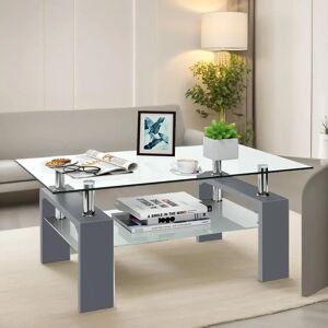 FURNOLD 2 Tier Glass Table with Storage Shelf, Living Room Furniture gray 40.0 H x 100.0 W x 60.0 D cm