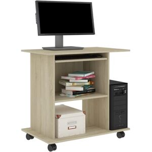 17 Stories Bisceglia Computer Desk 74.93 H x 80.01 W x 50.038 D cm