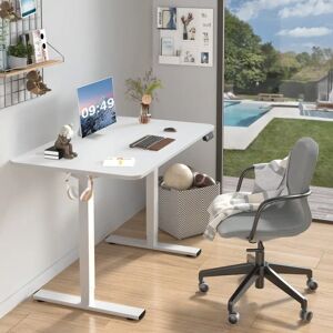 Zipcode Design Hieronymus Electric T-Shape Height Adjustable Standing Desk brown/gray 160.0 W x 60.0 D cm
