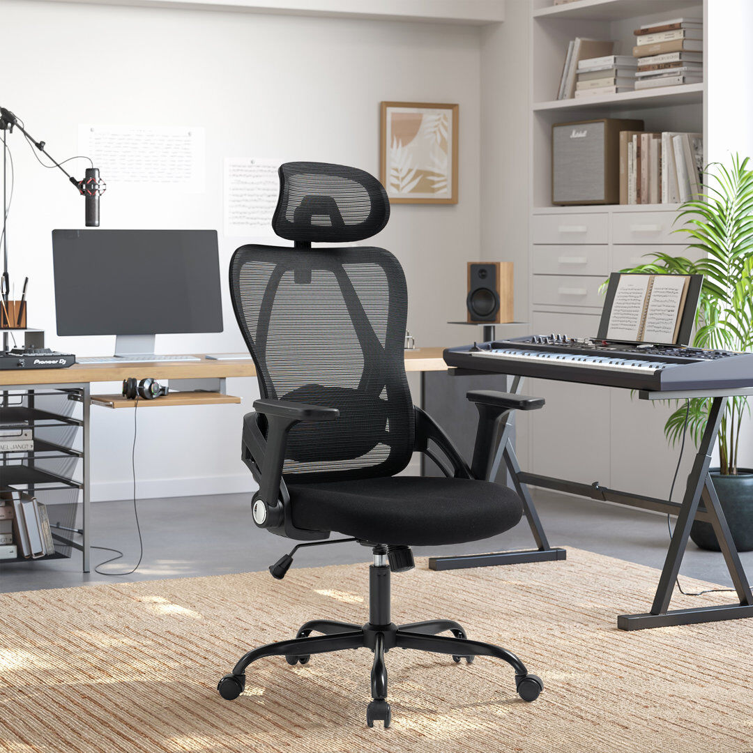 Inbox Zero Mesh Ergonomic Office Chair with Adjustable Headrest and Lumbar Support Black 70cm W X 70cm D