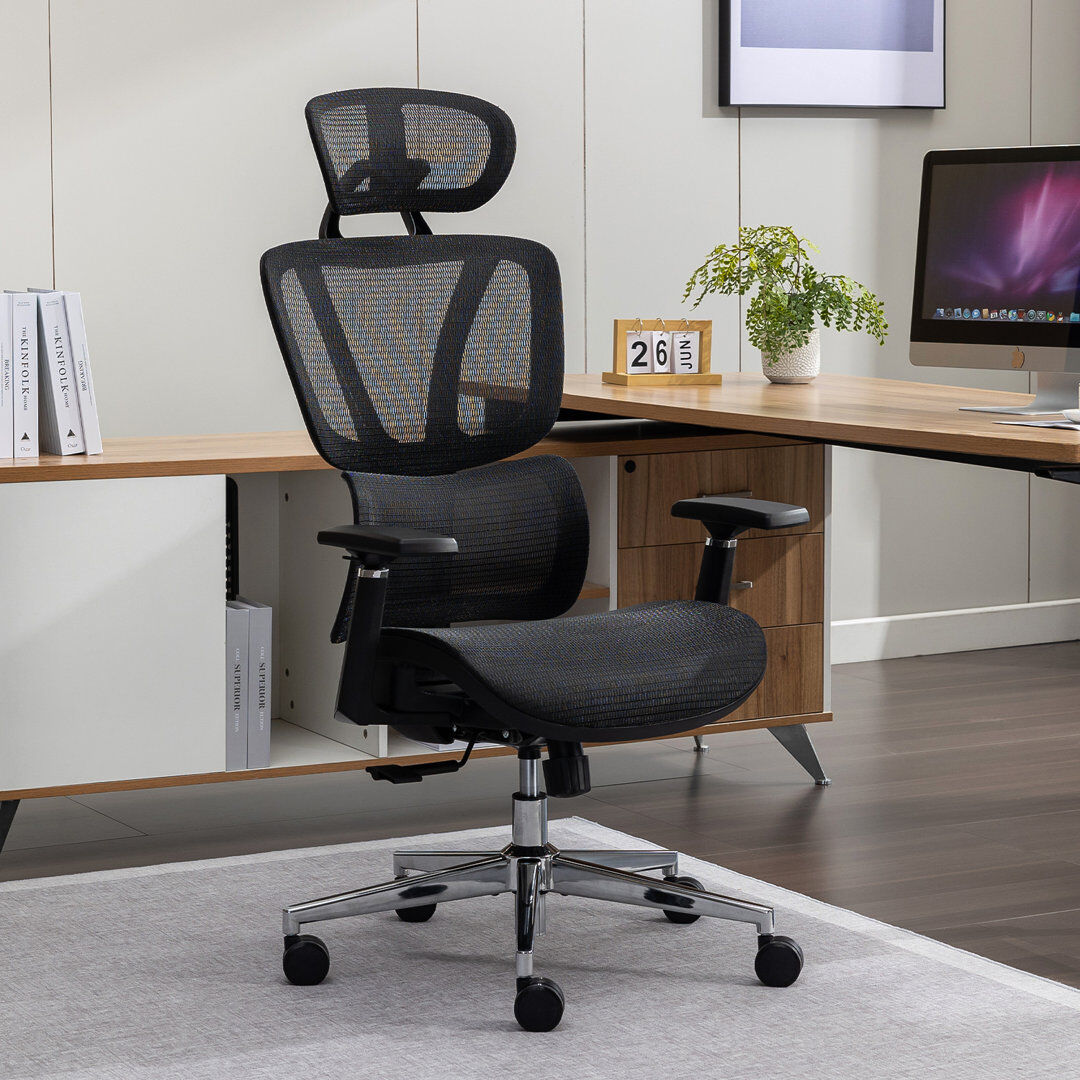Inbox Zero Gavazova Ergonomic High Back Mesh Office Chair with Adjustable Lumbar Support and Headrest Black 70cm W X 70cm D