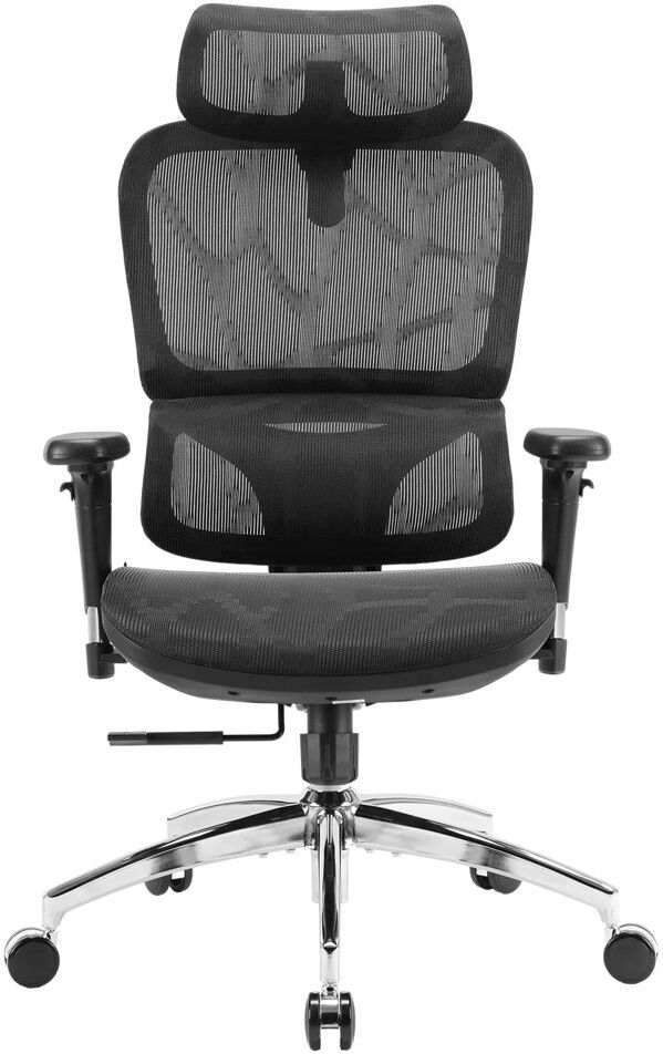 SIHOO Ergonomic Office Chair, with Big Seat and Adjustable Lumbar Support Black 69.5cm W X 72cm D