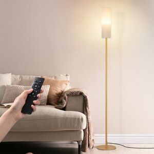 Fairmont Park Stepless Dimmable Floor Lamp With Remote Control Polished 165cm H X 23cm W X 23cm D Fairmont Park Stepless Dimmable Floor Lamp With Remote Control Polished 165cm H X 23cm W X 23cm D