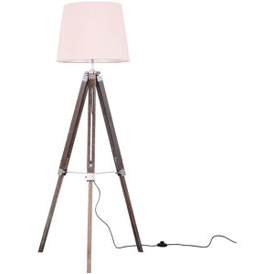 Brayden Studio Bella Vista 153cm Tripod Floor Lamp Dusky Pink Brayden Studio Bella Vista 153cm Tripod Floor Lamp Dusky Pink