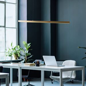 Canora Grey Avarey 1 - Light Gold LED Kitchen Island Pendant Gold 10cm H X 7.5cm W Canora Grey Avarey 1 - Light Gold LED Kitchen Island Pendant Gold 10cm H X 7.5cm W