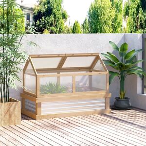 Dakota Fields 4 Ft W x 2 Ft D Cold-Frame Greenhouse Clear 81.7cm H X 122cm W X 61cm D