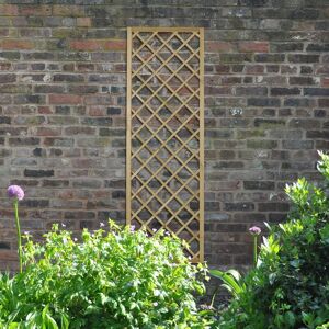 Forest Garden Wood Lattice Panel Trellis brown 180.0 H x 60.0 W x 2.8 D cm