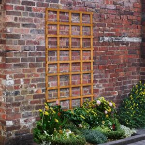 Forest Garden Wood Lattice Panel Trellis brown 183.0 H x 91.0 W x 3.6 D cm