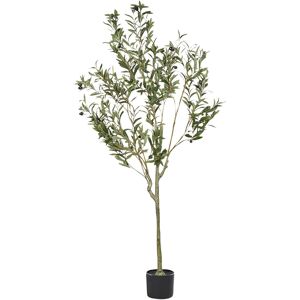 The Seasonal Aisle 153cm Faux Olive Tree Tree in Plastic / Acrylic Planter Green 153cm H X 63cm W X 63cm D