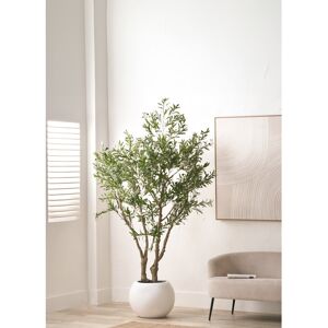 The Seasonal Aisle 250cm Faux Tree in Cement Pot Green 250cm H X 150cm W X 150cm D