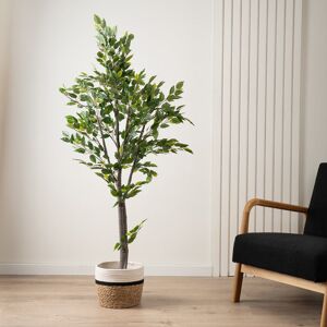 The Seasonal Aisle 155cm Faux Ficus Tree in Pot Green 155cm H X 55cm W X 55cm D