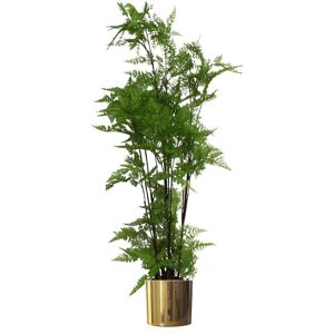 Leaf 150cm Artificial Moss Tree in Pot Gold 150cm H X 60cm W X 60cm D