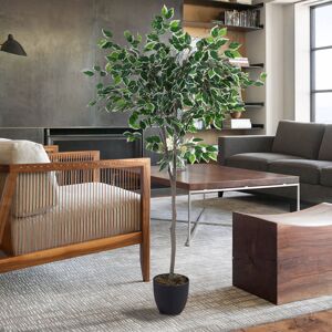 The Seasonal Aisle 150cm Faux Ficus Plant in Freestanding Green 150cm H X 65cm W X 65cm D