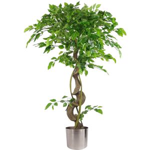 The Seasonal Aisle Floor Ficus Tree in Pot Silver 150cm H x 40cm W x 40cm D