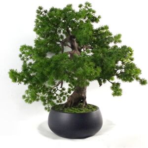 Bloomsbury Market 50cm Artificial Bonsai Plant in Pot Liner Green 50cm H X 60cm W X 60cm D Bloomsbury Market 50cm Artificial Bonsai Plant in Pot Liner Green 50cm H X 60cm W X 60cm D