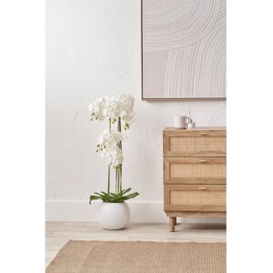 The Seasonal Aisle 115cm Faux Plant in Cement Pot Green 115cm H X 35cm W X 35cm D The Seasonal Aisle 115cm Faux Plant in Cement Pot Green 115cm H X 35cm W X 35cm D