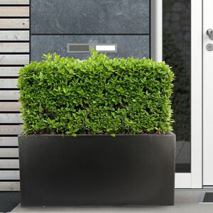 HORTICO Frostproof, Concrete Effect Garden Planter Pot with Drainage Holes Black 37.5cm H x 80cm W x 37cm D HORTICO Frostproof, Concrete Effect Garden Planter Pot with Drainage Holes Black 37.5cm H x 80cm W x 37cm D