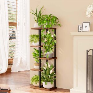 Borough Wharf 5 Tier Plant Stands For Multiple Plants Black/Brown 98cm H X 40cm L X 23.5cm D Borough Wharf 5 Tier Plant Stands For Multiple Plants Black/Brown 98cm H X 40cm L X 23.5cm D