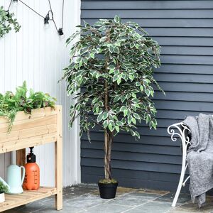 The Seasonal Aisle Charleston 160cm Artificial Ficus Tree in Pot Green 160cm H X 18cm W X 14cm D The Seasonal Aisle Charleston 160cm Artificial Ficus Tree in Pot Green 160cm H X 18cm W X 14cm D