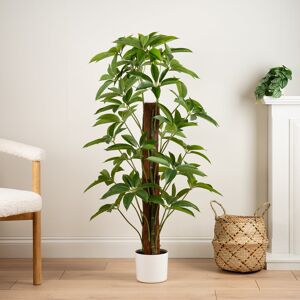 Brayden Studio 120cm Faux Real Touch Climbing Schefflera / Umbrella Plant in White Pot Green 120cm H X 35cm W X 35cm D Brayden Studio 120cm Faux Real Touch Climbing Schefflera / Umbrella Plant in White Pot Green 120cm H X 35cm W X 35cm D