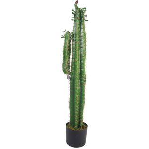 The Seasonal Aisle Floor Cactus Plant in Planter Green 100cm H X 22cm W X 22cm D The Seasonal Aisle Floor Cactus Plant in Planter Green 100cm H X 22cm W X 22cm D