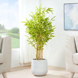 The Seasonal Aisle Anilya Faux Bamboo Plant 110cm H x 30cm W x 30cm D The Seasonal Aisle Anilya Faux Bamboo Plant 110cm H x 30cm W x 30cm D