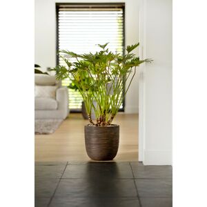 Capi Europe Plant Pot Dark Brown 34cm H x 35cm W x 34cm D Capi Europe Plant Pot Dark Brown 34cm H x 35cm W x 34cm D
