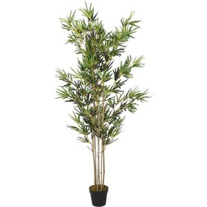 The Seasonal Aisle 200cm Faux Bamboo Tree in Pot Green 200cm H x 20cm W The Seasonal Aisle 200cm Faux Bamboo Tree in Pot Green 200cm H x 20cm W