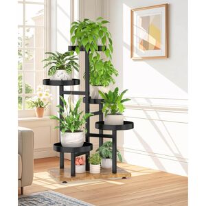 Brayden Studio 5 Tier Plant Stand Indoor Black Walnut 80cm H X 40cm L X 30cm D Brayden Studio 5 Tier Plant Stand Indoor Black Walnut 80cm H X 40cm L X 30cm D
