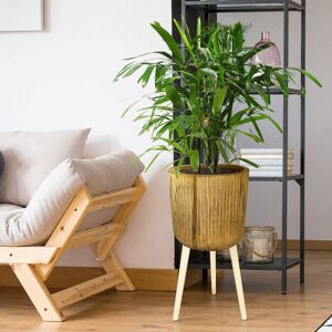HORTICO RIBBED Tall Indoor Plant Pot Stand for House Plants with Waterproof Liner Natural Wooden House Planter with Legs D27 H60 cm, 2.5L Brown 60cm H X 27cm W X 27cm D HORTICO RIBBED Tall Indoor Plant Pot Stand for House Plants with Waterproof Liner Natural Wooden House Planter with Legs D27 H60 cm, 2.5L Brown 60cm H X 27cm W X 27cm D