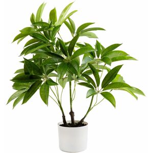 Latitude Run 60cm Faux Real Touch Schefflera / Umbrella Plant in White Pot Green 60cm H X 30cm W X 30cm D Latitude Run 60cm Faux Real Touch Schefflera / Umbrella Plant in White Pot Green 60cm H X 30cm W X 30cm D