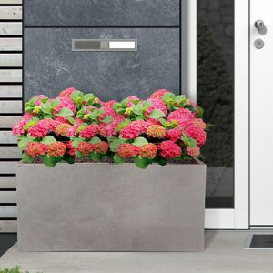 HORTICO Frostproof, Concrete Effect Garden Planter Pot with Drainage Holes Grey 37.5cm H x 80cm W x 37cm D HORTICO Frostproof, Concrete Effect Garden Planter Pot with Drainage Holes Grey 37.5cm H x 80cm W x 37cm D