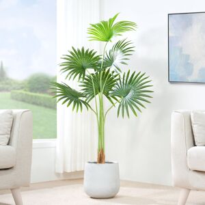 The Seasonal Aisle Anharika Faux Fan Palm Tree Plant 140cm H x 30cm W x 30cm D The Seasonal Aisle Anharika Faux Fan Palm Tree Plant 140cm H x 30cm W x 30cm D