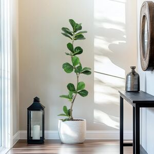Lark Manor Indoor Artificial Plant,Tall Faux Olive Tree Green 150cm H x 18cm W x 18cm D Lark Manor Indoor Artificial Plant,Tall Faux Olive Tree Green 150cm H x 18cm W x 18cm D