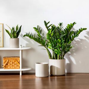 Dakota Fields Ceramic Plant Pot Set Gray 26cm H X 26cm W X 5cm D Dakota Fields Ceramic Plant Pot Set Gray 26cm H X 26cm W X 5cm D