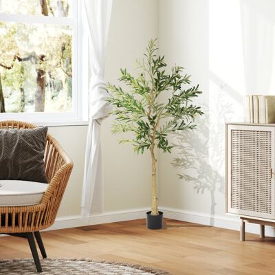 The Seasonal Aisle 150cm Faux Olive Plant in Pot Green 150cm H X 15cm W X 15cm D The Seasonal Aisle 150cm Faux Olive Plant in Pot Green 150cm H X 15cm W X 15cm D