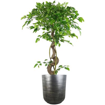 Leaf - Coya Planter - Grey - 39cm - Planter Leaf - Coya Planter - Grey - 39cm - Planter
