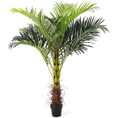 The Seasonal Aisle 180cm Artificial Palm Tree Fake Greenery Decoration for Home Green 70.8cm H X 31.5cm W X 80cm D The Seasonal Aisle 180cm Artificial Palm Tree Fake Greenery Decoration for Home Green 70.8cm H X 31.5cm W X 80cm D