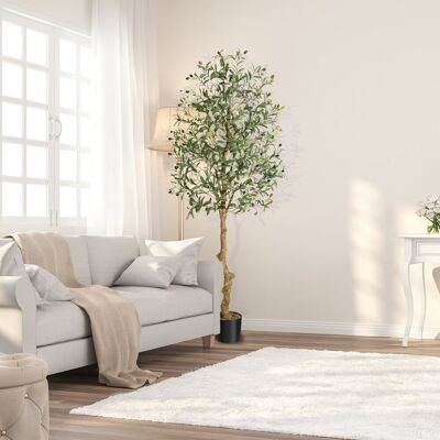 Fleur De Lis Living 182.88cm Plant Green 182.88cm H X 73cm W X 73cm D Fleur De Lis Living 182.88cm Plant Green 182.88cm H X 73cm W X 73cm D