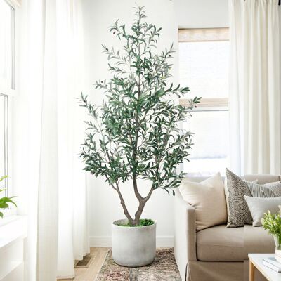 Lily Manor Artificial Olive Tree Tall Faux Olive Plant with Lifelike Olive Leaves Fake Tree Indoor Outdoor for Home Living Room Bedroom Balcony Corner Office Gar Green 7FT Lily Manor Artificial Olive Tree Tall Faux Olive Plant with Lifelike Olive Leaves Fake Tree Indoor Outdoor for Home Living Room Bedroom Balcony Corner Office Gar Green 7FT