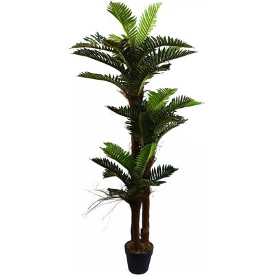 The Seasonal Aisle 150cm Artificial Large Palm Tree with Natural Trunk Green 150cm H X 70cm W X 70cm D The Seasonal Aisle 150cm Artificial Large Palm Tree with Natural Trunk Green 150cm H X 70cm W X 70cm D