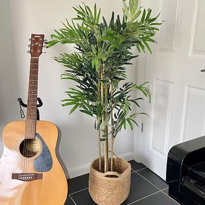 The Seasonal Aisle Artificial Bamboo Tree in Pot Liner Green 150cm H x 60cm W x 60cm D The Seasonal Aisle Artificial Bamboo Tree in Pot Liner Green 150cm H x 60cm W x 60cm D