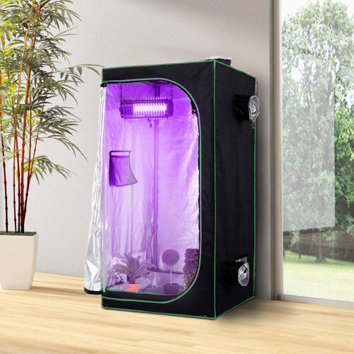 WFX Utility 3 Ft W x 3 Ft D Hydroponic Plant WFX Utility  - Size: 41cm H X 52cm W X 52cm D WFX Utility 3 Ft W x 3 Ft D Hydroponic Plant WFX Utility  - Size: 41cm H X 52cm W X 52cm D