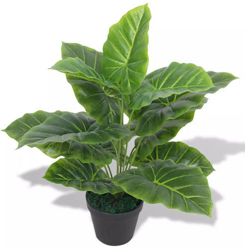 Bay Isle Home Taro Floor Ficus Plant in Pot Bay Isle Home  - Size: 60cm H Bay Isle Home Taro Floor Ficus Plant in Pot Bay Isle Home  - Size: 60cm H