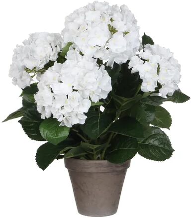 The Seasonal Aisle Artificial Flowering Plant in Pot The Seasonal Aisle Flower Colour: White, Size: 45cm H x 45cm W x 45cm D  - Size: 66.04cm H x 66.04cm W x 3.81cm D