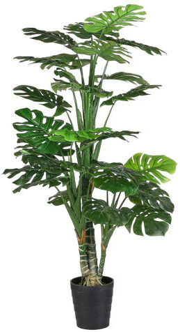 The Seasonal Aisle Philodendron Plant in Pot The Seasonal Aisle  - Size: 74cm H X 79cm W X 30cm D The Seasonal Aisle Philodendron Plant in Pot The Seasonal Aisle  - Size: 74cm H X 79cm W X 30cm D