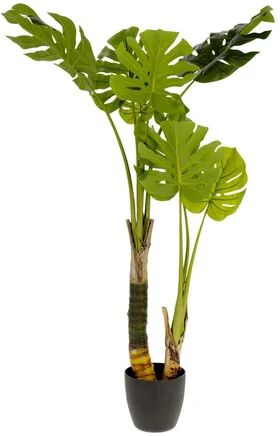The Seasonal Aisle 112cm Artificial Monstera Plant in Pot (Set of 2) The Seasonal Aisle  - Size: 168 W x 228 D cm The Seasonal Aisle 112cm Artificial Monstera Plant in Pot (Set of 2) The Seasonal Aisle  - Size: 168 W x 228 D cm